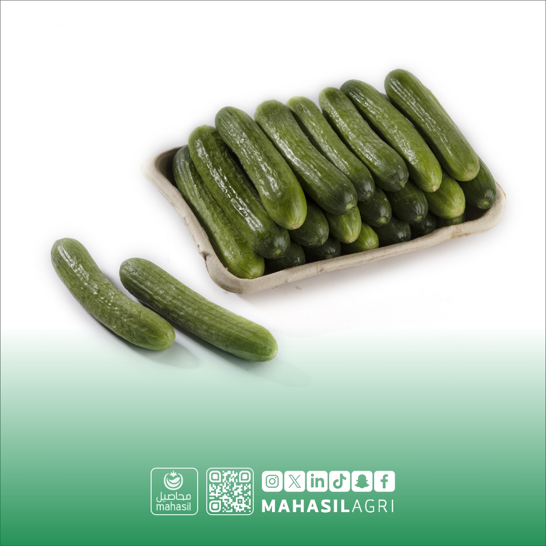 الخيار