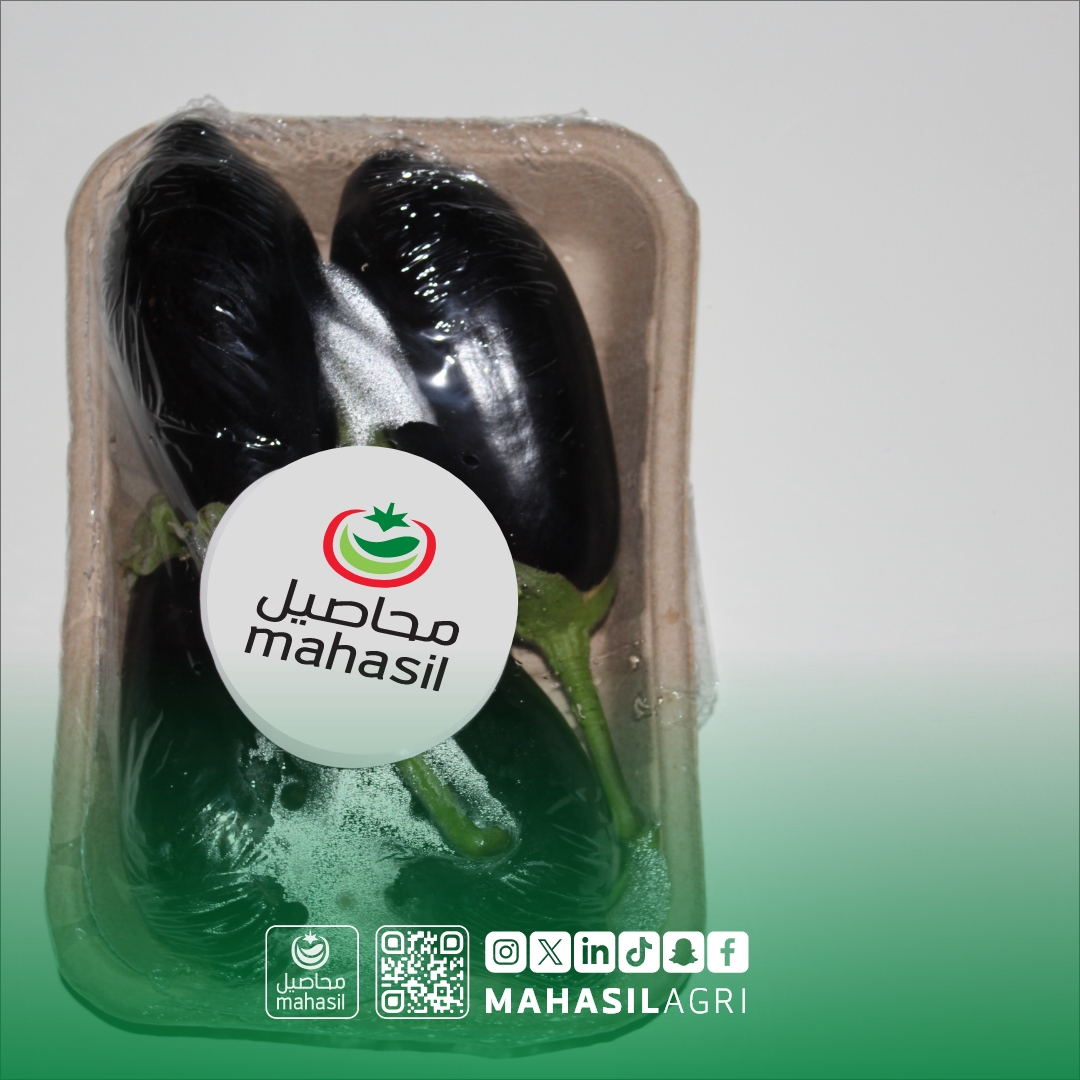 الباذنجان